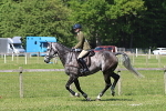 IMG_4615
