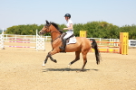 SBM_001316