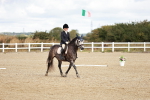 SBM_009868