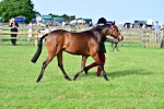 SBM_00960