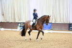 SBM_002843