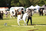 SBM_11231