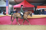 SBM_09615
