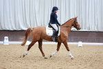 SBM_008231