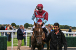 290826-Race 5-Supreme Clarets-7438