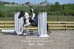 BPP_8947