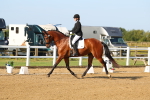 SBM_010567