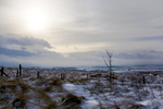 WHITBY MOORS