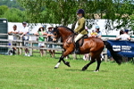 SBM_07922