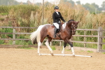 SBM_001890