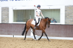 SBM_002658