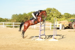SBM_003365