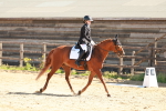 SBM_010661