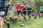 Dovedale Dash-1604