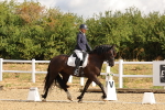 SBM_003310