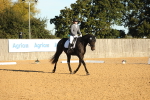 SBM_14119