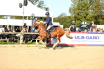 SBM_14960