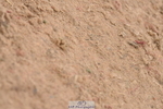230628A-160608-01001