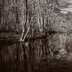 Curtains Pond 03