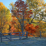 Old Wooden Fence in Autumn New Brunswick Canada Fall Foliage