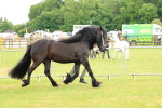 SBM_00475