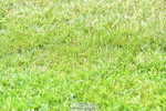 260630A-110414-05744