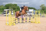 BPP_8008