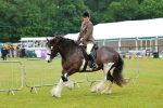 SBM_00956