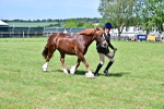 SBM_08056