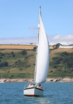 140729 SCOT FREE GBR1443T WT7A1816