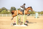 SBM_03829