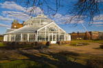 Winter Gardens, People's Palace, Glasgow - 7132