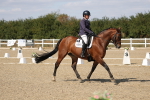 SBM_022490