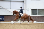 SBM_000482