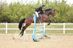 SBM_000883