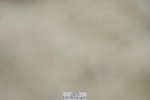 230708A-120941-01290