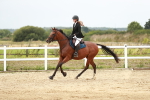 SBM_005070