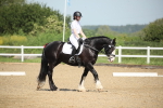 SBM_008005