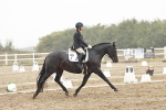 SBM_004003