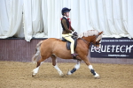 SBM_003465
