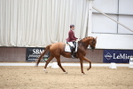 SBM_003449