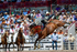 3HRodeo7-25-25_CFD_01563_90 pt ride