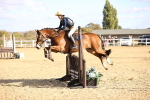 SBM_003264
