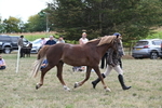 WJ6_6681