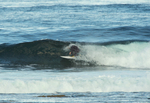 DSC_5454