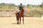 SBM_003611
