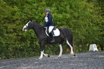 WJ5_9011