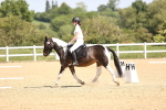 SBM_008589