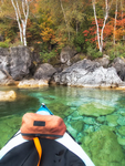 Dyers Bay #2