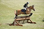 BVHT 140517  IXC -559